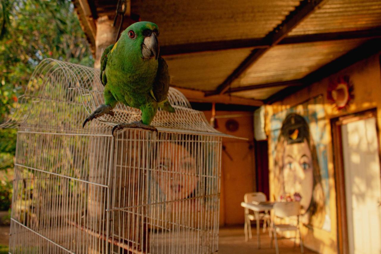 La Casa Del Artista Lejlighed Esquipulas Eksteriør billede